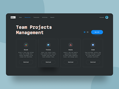 Dev. Projects Management