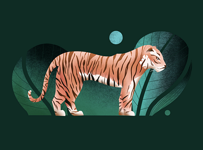 Tiger in the woods 100daysofillustration illustration procreate