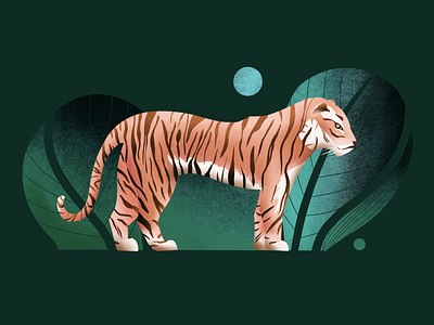 Tiger in the woods