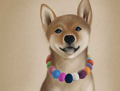 Shiba Inu 100daysofillustration illustration procreate