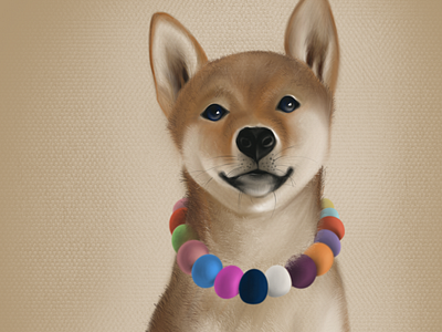 Shiba Inu