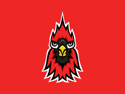 Arizona Cardinals logo arizona arizona cardinals cardinals logo logos nfl