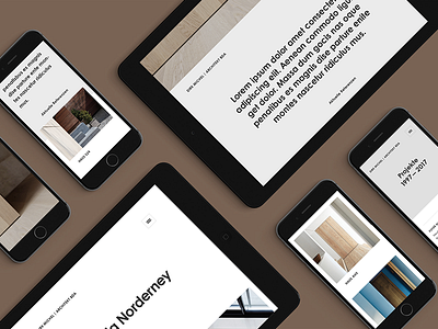 Architectural Website architect clean flat minimal mockup responsive ui web website