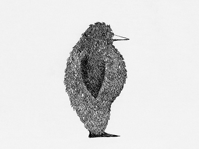 Ernie - CD cover animal bird black white design detailed illustration ink music nature pattern retro
