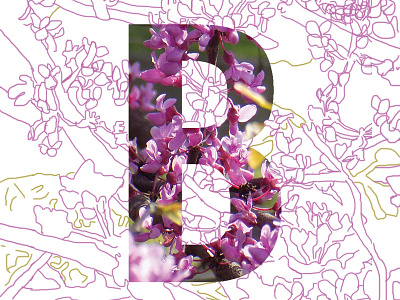 B alphabet floral purple type