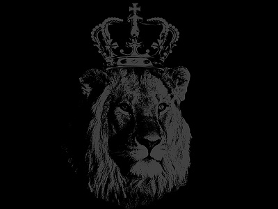 King Lion black illustration kenya king lion