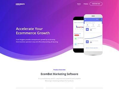 Ecomnuggets Landing Page