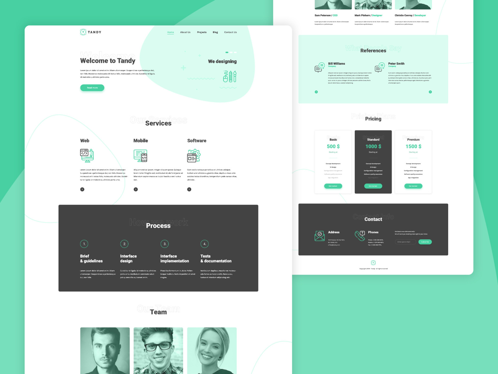 Tandy landing page by Emil Kurzaj on Dribbble