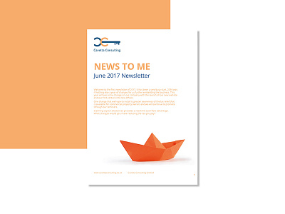 Cavetta Consulting Newsletter branding freelance graphic design print design