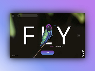 Fly High UI bird colour concept fly layout minimal nature purple simple typography ui shadow metallic web