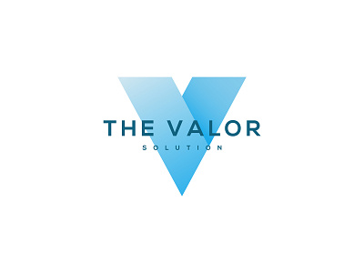 The Valor Solution brandidentity design flat icon illustration logo logodesign logodesigner logotype vector