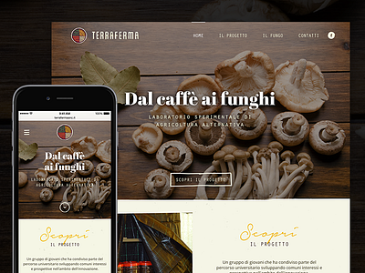 Terraferma coffee mobile mushrooms responsive website wood