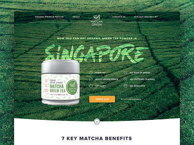 Landing Page - Matcha Tea design flat landing page matcha tea ui ux website