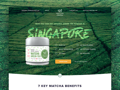 Landing Page - Matcha Tea