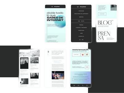 privacycloud mobile adobe xd branding brutalism design interaction layout ui ux web
