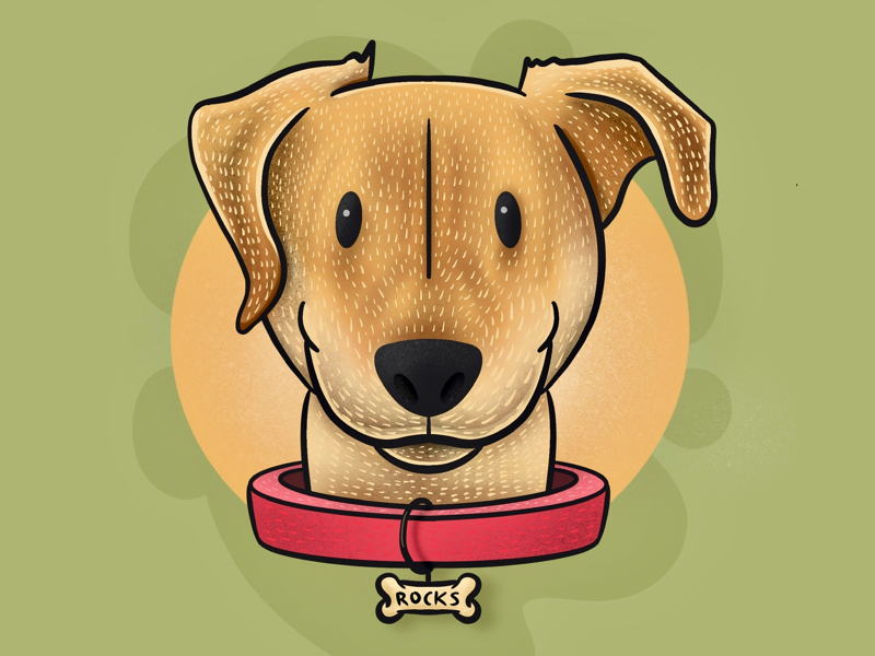 Rocks art art direction apple pencil ipad pro ipad draw drawing comic illustrate illustrator yellow green background character design graphic design animal procreate illustration dog