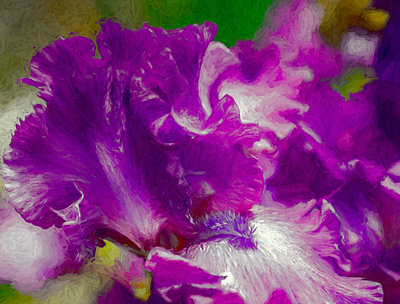 Elegance branding design digital digital art digital painting digitalart flower iris logo