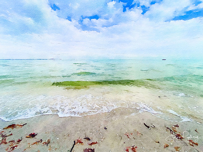 Sanibel Waves branding design digital art digital painting photography sanibel island travel watercolor waves