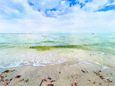 Sanibel Waves