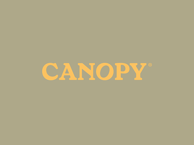 Canopy art direction brandidentity branding collateral creative direction identity logo logotype stationary typography wordmark yellow