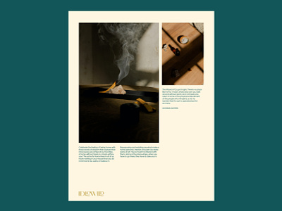 Idlewild Editorial art direction brandidentity branding collateral creative direction design editorial identity logo logotype packaging stationary typography