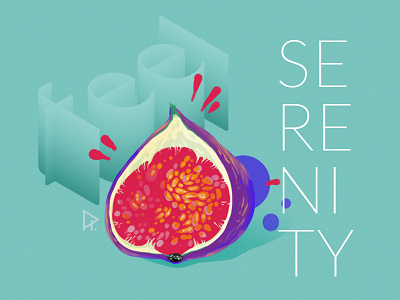 Serenity color feel illustration photoshop study taste typography
