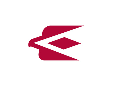 Unique E Logo Eagle Logo