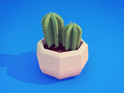 Cactus 3d cactus low poly plant