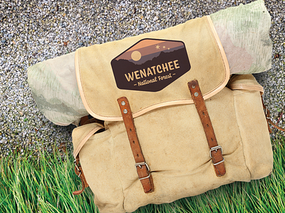 Wenatchee National Forest Mockup badge badge logo bag bag mockup branding camping graphic design logo logo design outside rustic