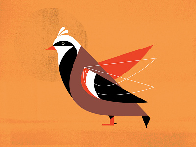 Holiday Partridge Bird bird charley harper illustration line shape texture