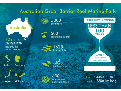 Australia Reef by Lokesh Kumar on Dribbble