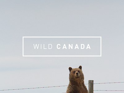 Wild Canada cbc grid ios ipad layout native iphone