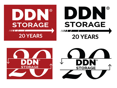 DDN Storage 20 Year Logo Example logo
