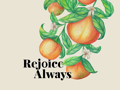 Rejoice botanical drawing clementines colored pencils green handdrawn illustration lettering orange plants vector lettering