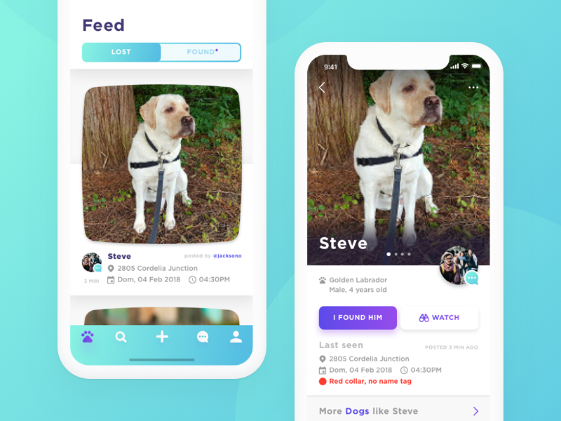 Pet Finder App Concept by Jenn Godoy on Dribbble
