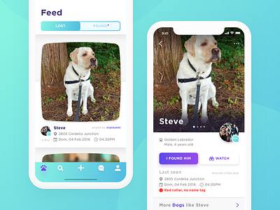 Pet Finder App Concept