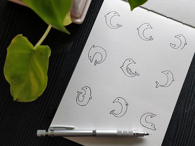 DOLPHIN LOGO behance design handbook handdrawn logo