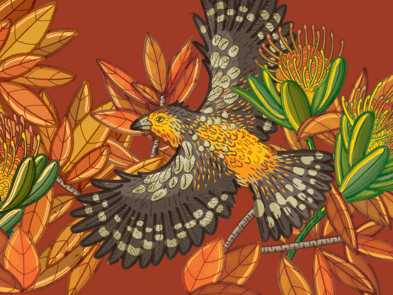 Crested Barbet textile bird illustration nature illustration illustration bird