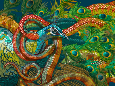 Peacock and Snake illustration educational nature print poster snake peacock photoshop
