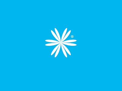 Luganskholod logo branding identity logo snowflake snowflakes визуальная идентификация