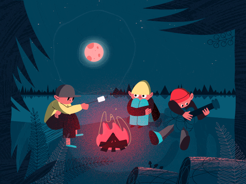 Night Camping With Campfire ae after effect animation course flat illustration
