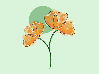 Stylomecon heterophylla design icon illustration minimal