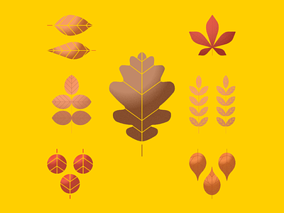 Autumn Leaves autumn colour drawing illustration inspiration leaves sketch vector