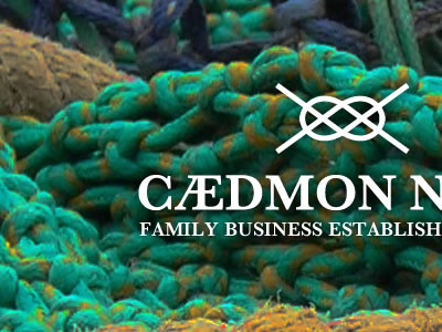 Caedmon Nets 2 concept header logo