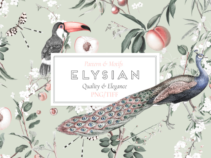 Elysian florals art fabric prints illustration designs textiles seamless patterns