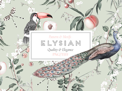 Elysian art designs fabric florals illustration patterns prints seamless textiles