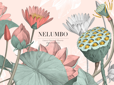 Nelumbo art bold design designs fabrics florals illustration leaves lotus lotus flower patterns pond prints seamless textiles