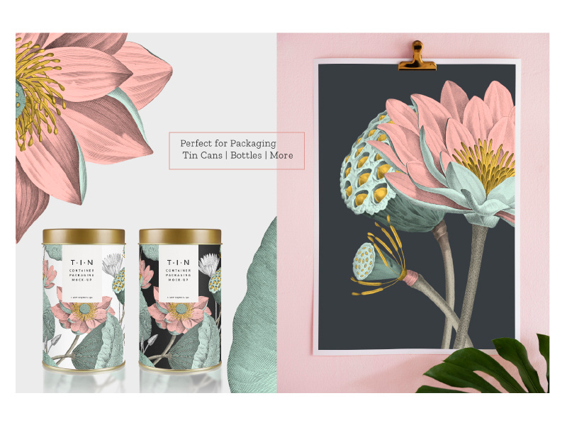 Nelumbo graphicdesign wallpaper lotus flower lotus leaves fabric illustration textiles florals design seamless prints patterns