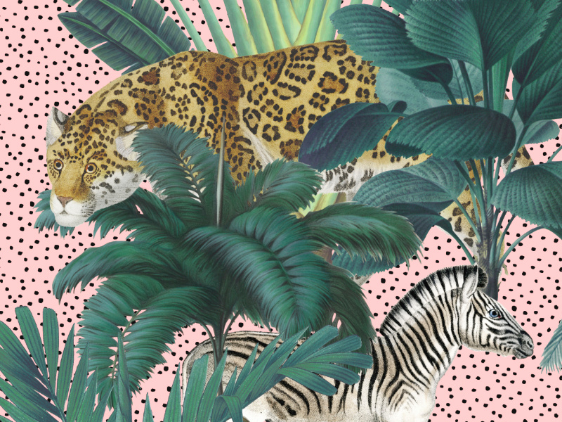 Royal Palms zebra tiger leopard animals tropical leaves royal palms tropical amazon jungle fabrics art illustration florals design textiles seamless prints patterns