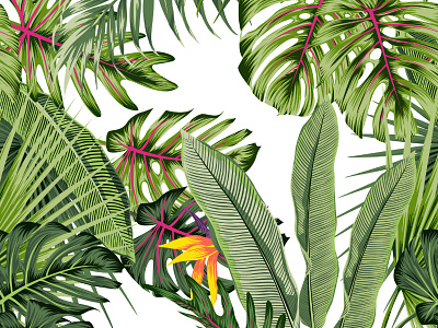 Tropique design designs florals illustration leaves patterns prints seamless textiles vector